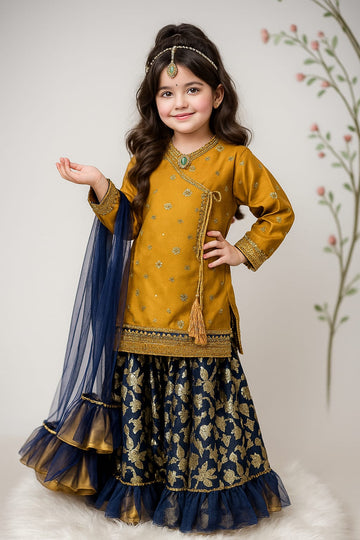 Beautiful ethnic dress