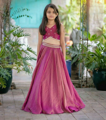 Embroidered Indian style choli with sheesha silk Lehnga