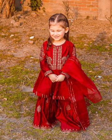 Red embroidered dress