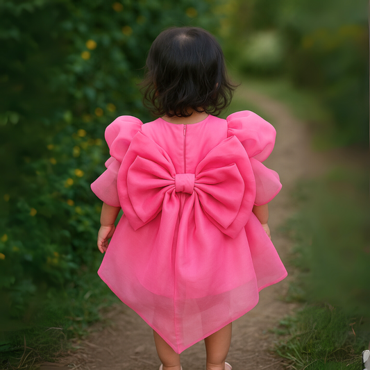 Rose Pink Organza Outfit