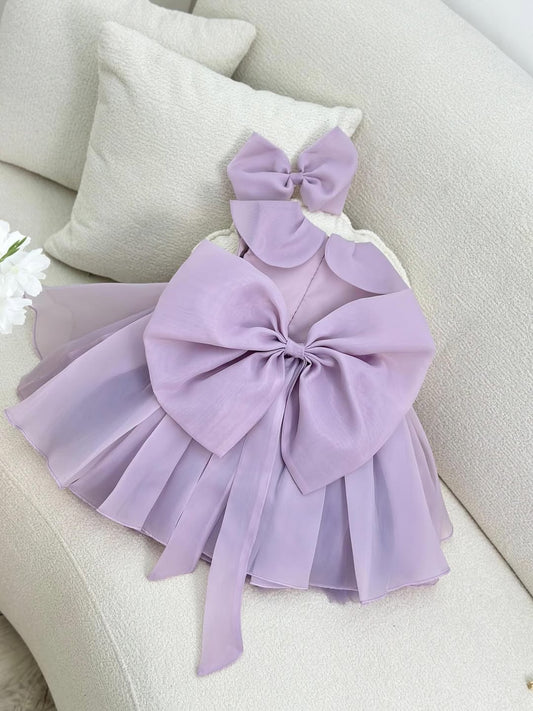 Organza frock
