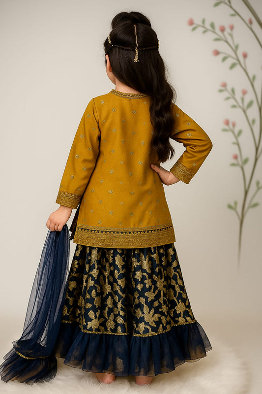 Beautiful ethnic dress