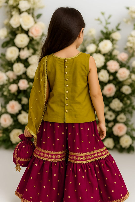 Beautiful ethnic dress