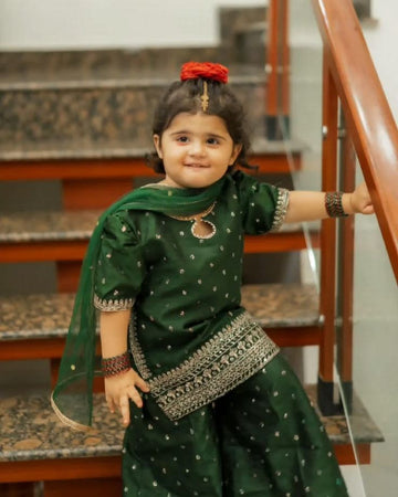 Beautiful ethnic dress